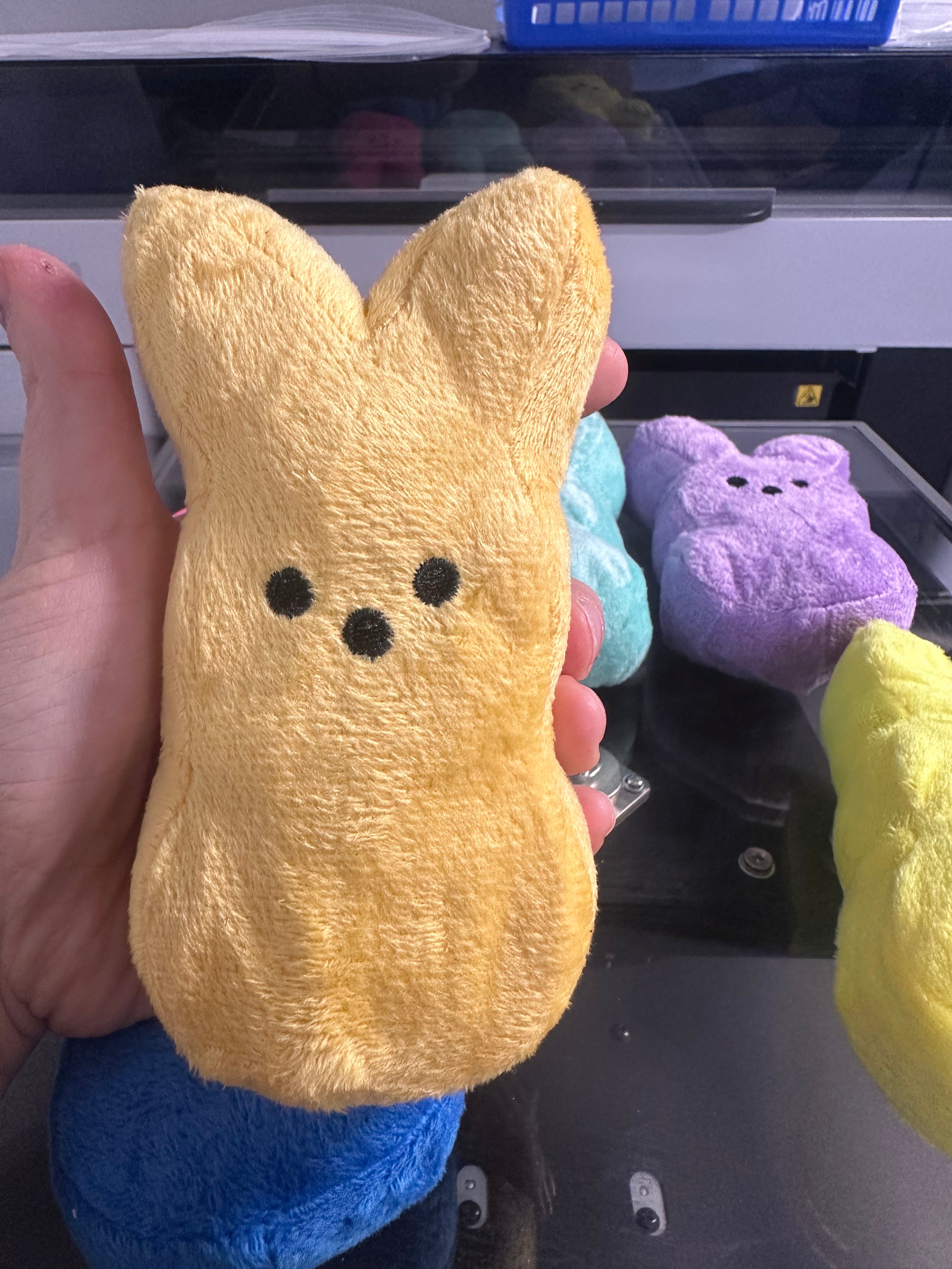 Personalized Plush Bunny Peeps